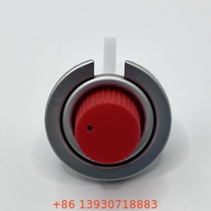 Rechte klep Stem Type Draagbare gaskachel klep Groothandel 1/4 inch NPT uitlaat draad