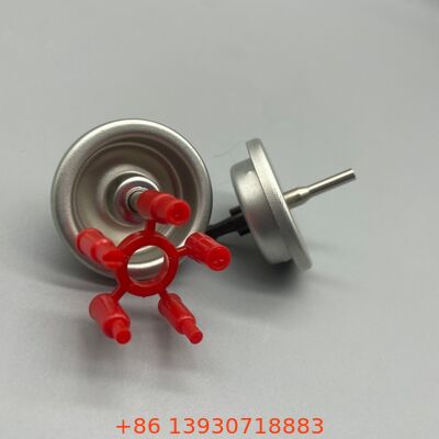 Efficiënte Een-Inch Lichtere Gasklep voor Buiten Kookliefhebbers met Duurzame Eigenschappen