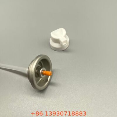 Droogshampoo Aerosol-sproeiventiel Ontworpen voor poeder- en misthaarverfrissingsproducten