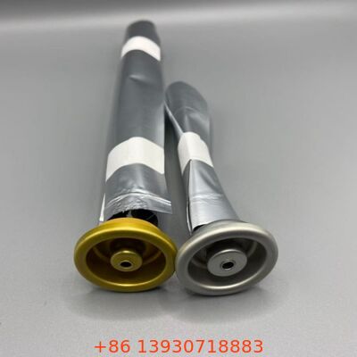 Female Bag on Valve voor zuurstofgevoelige producten & verlengde houdbaarheid