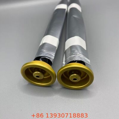 Vrouwelijke spuitbus met ventiel voor lotions en sanitaire sprays en persoonlijke verzorging