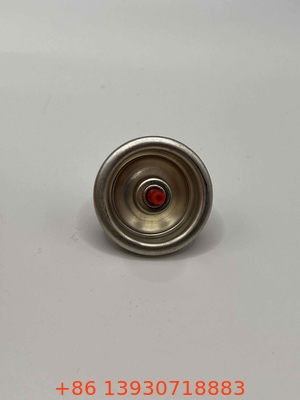 Stainless Steel Spring Refill Valve Fitting voor industrieel gebruik met Buitenpakking Buna