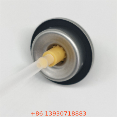 Premium lekkagebestendige droge shampoo spuitklep voor schoonheidsmerken met precisie dispensering