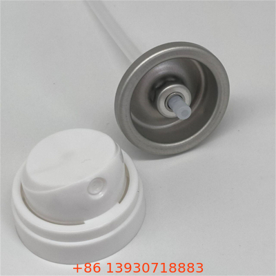 Dry Shampoo Aerosol Valve voor haarverzorging