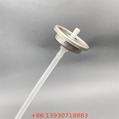 Corrosiebestendig niet-toxisch multifunctionele carburateurreinigerklep voor industriële en automobieltoepassingen