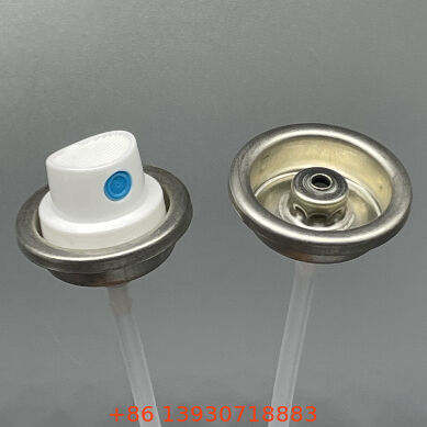 Kleur-gematched gecoate vrouwelijke spuitverfklep en actuator set klaar voor installatie met vervaag- en krasbestendigheid